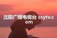 沈阳广播电视台 csytv.com