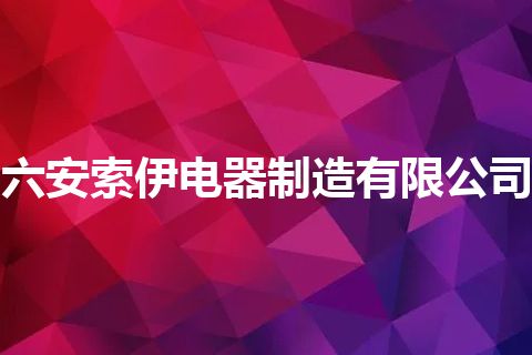 六安索伊电器制造有限公司