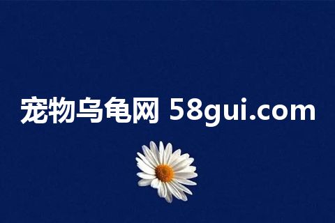 宠物乌龟网 58gui.com
