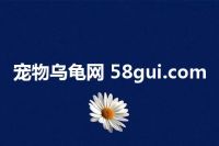 宠物乌龟网 58gui.com