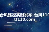 台风路径实时发布-台风110 tf110.com