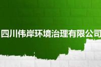 四川伟岸环境治理有限公司