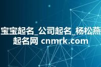 宝宝起名_公司起名_杨松燕起名网 cnmrk.com
