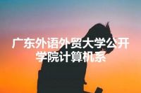 广东外语外贸大学公开学院计算机系