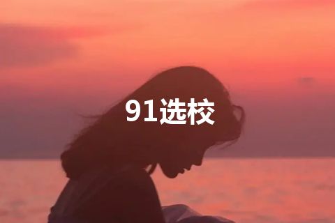 91选校