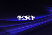 悟空网络