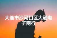 大连市沙河口区大通电子商行