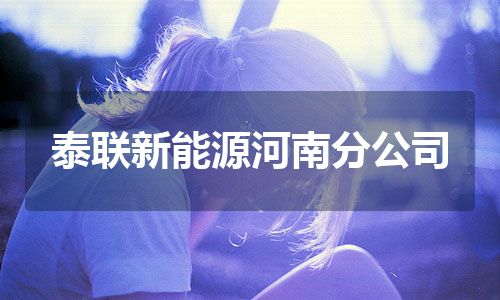 泰联新能源河南分公司
