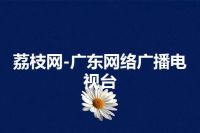 荔枝网-广东网络广播电视台