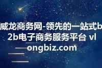 威龙商务网-领先的一站式b2b电子商务服务平台 vlongbiz.com