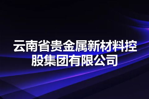 云南省贵金属新材料控股集团有限公司