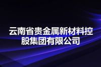 云南省贵金属新材料控股集团有限公司
