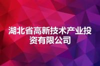 湖北省高新技术产业投资有限公司