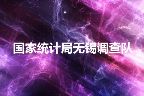 国家统计局无锡调查队