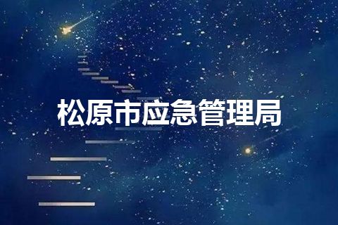 松原市应急管理局