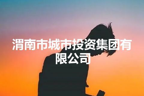 渭南市城市投资集团有限公司