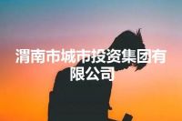 渭南市城市投资集团有限公司