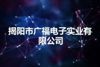 揭阳市广福电子实业有限公司
