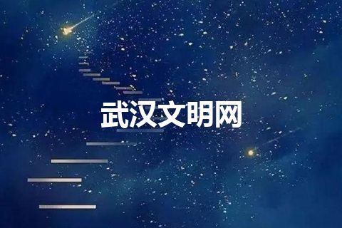 武汉文明网