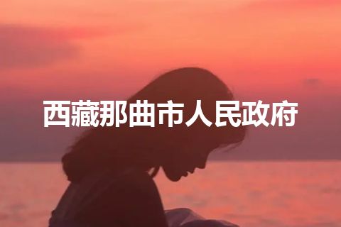 西藏那曲市人民政府