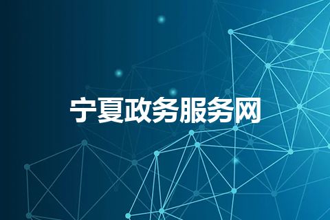宁夏政务服务网