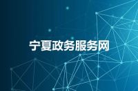 宁夏政务服务网