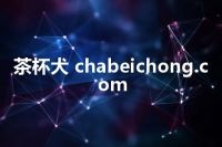 茶杯犬 chabeichong.com