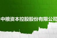 中粮资本控股股份有限公司