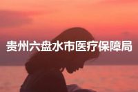 贵州六盘水市医疗保障局