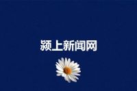 颍上新闻网