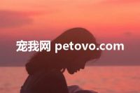 宠我网 petovo.com