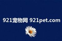 921宠物网 921pet.com