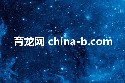 育龙网 china-b.com