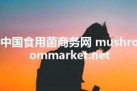 中国食用菌商务网 mushroommarket.net