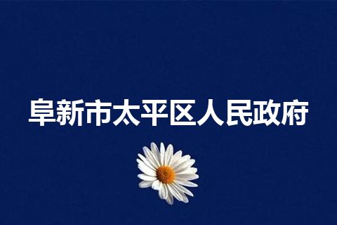 阜新市太平区人民政府 阜新市太平区人民政府