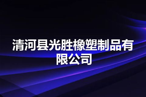清河县光胜橡塑制品有限公司