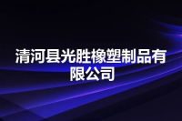 清河县光胜橡塑制品有限公司