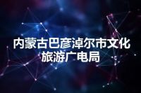 内蒙古巴彦淖尔市文化旅游广电局