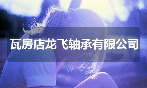 瓦房店龙飞轴承有限公司