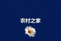 农村之家