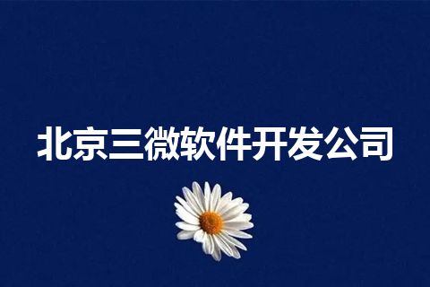 北京三微软件开发公司