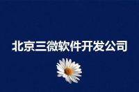 北京三微软件开发公司