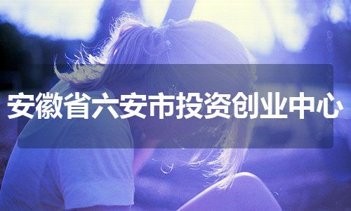 安徽省六安市投资创业中心