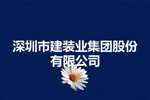 深圳市建装业集团股份有限公司 深圳市建装业集团股份有限公司