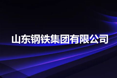 山东钢铁集团有限公司