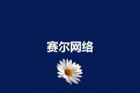 赛尔网络