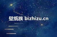 壁纸族 bizhizu.cn