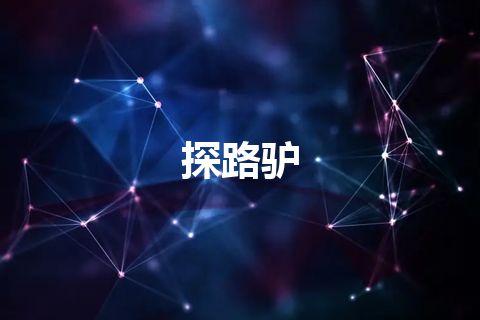 探路驴