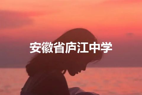 安徽省庐江中学