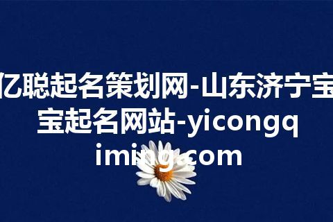 亿聪起名策划网-山东济宁宝宝起名网站-yicongqiming.com